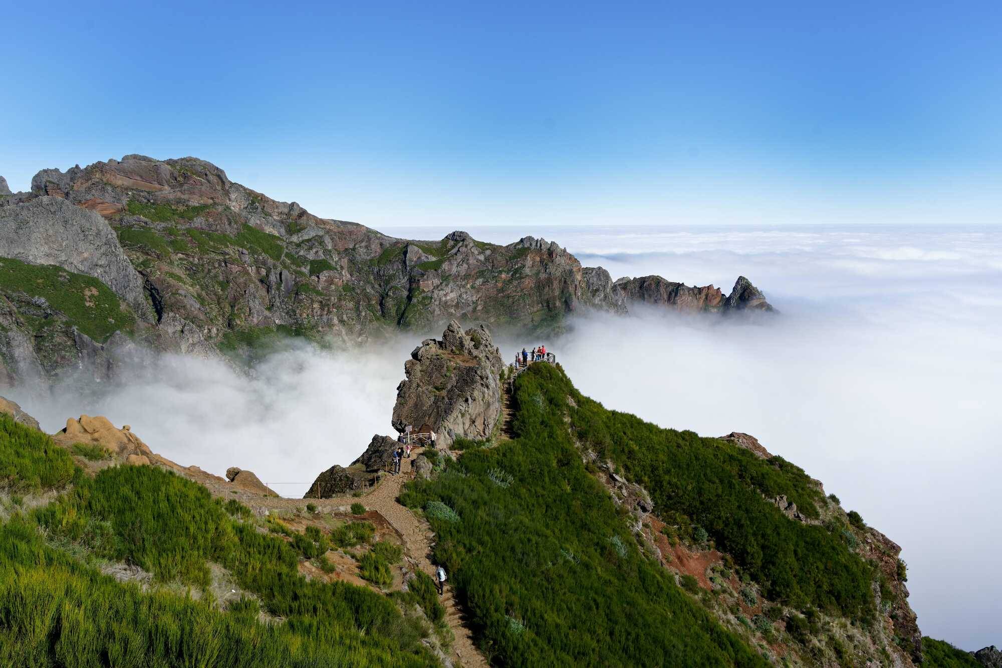 Trek Portugal Trek immersif dans le paradis sauvage de Mad re