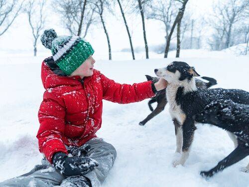 expedition_thumbnail_cover